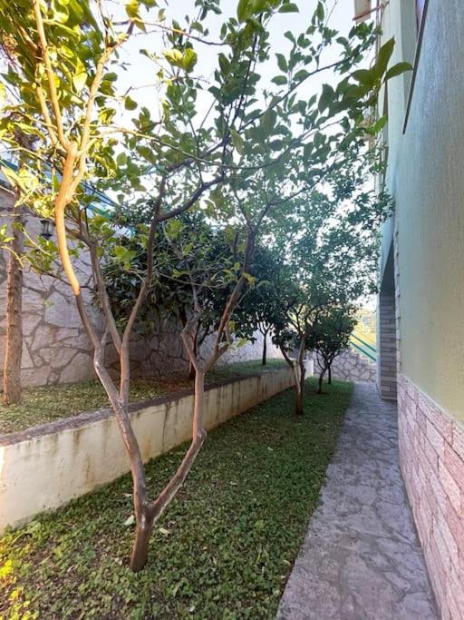 Villa #2, Rean